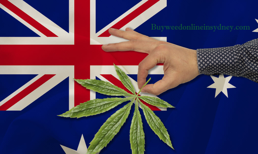 Australia Cannabis Laws – Where Is Cannabis Legal in Australia?