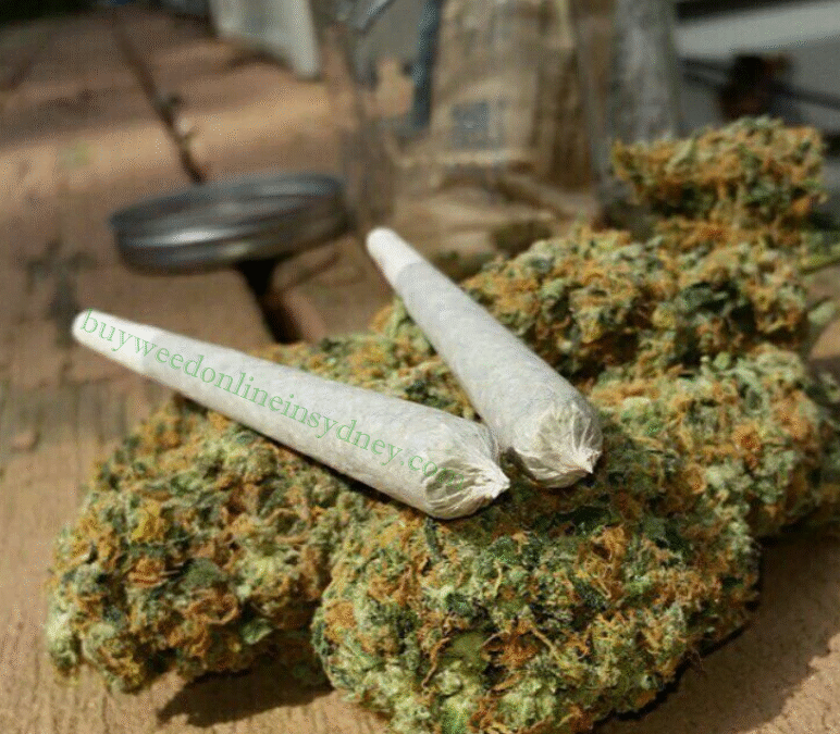 Buying Weed In Sydney Just Got Easier: Learn How To Buy Weed Online in Sydney Australia