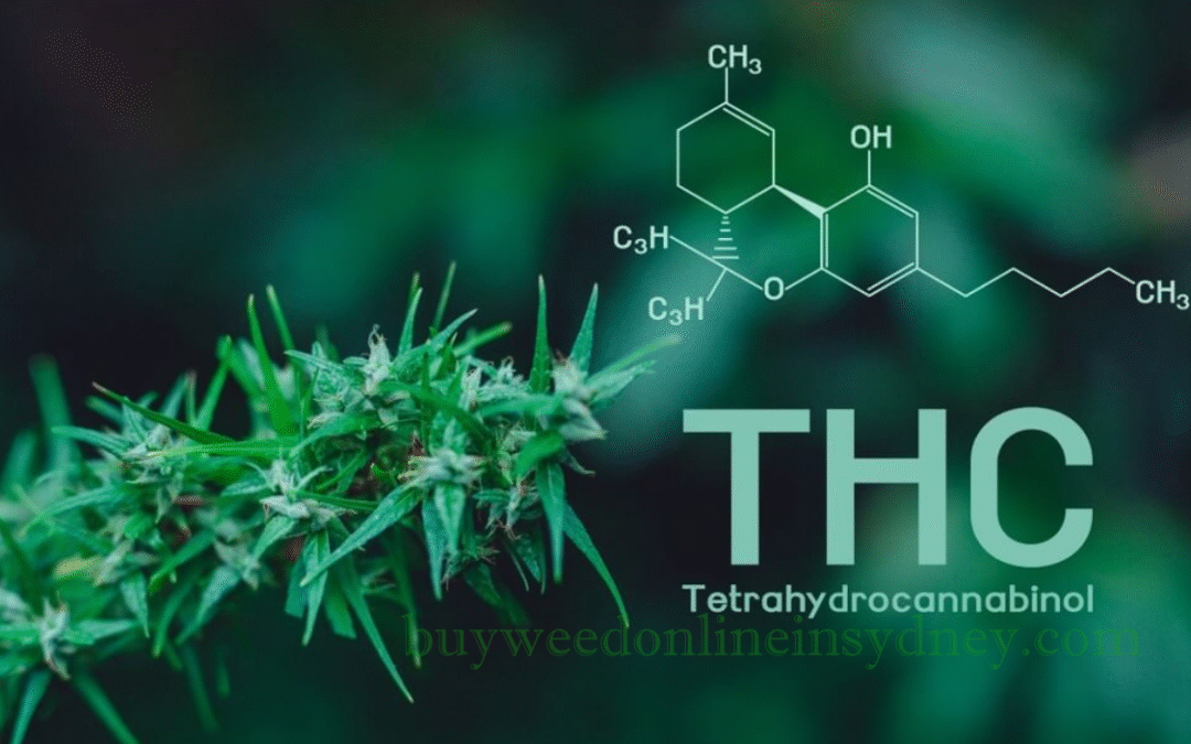 What Is THC - Uses and Benefits Of THC